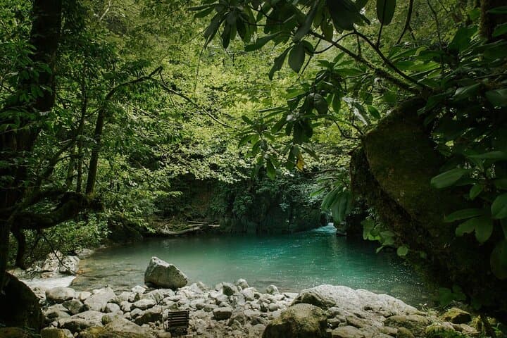Mtirala National Park Hike from Batumi — Waterfalls, Cable Car & Swimming photo 3