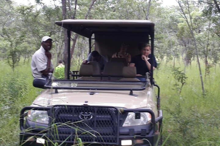 Chobe Day Trip from Livingstone — Kasane Safari & Chobe River Cruise photo 3