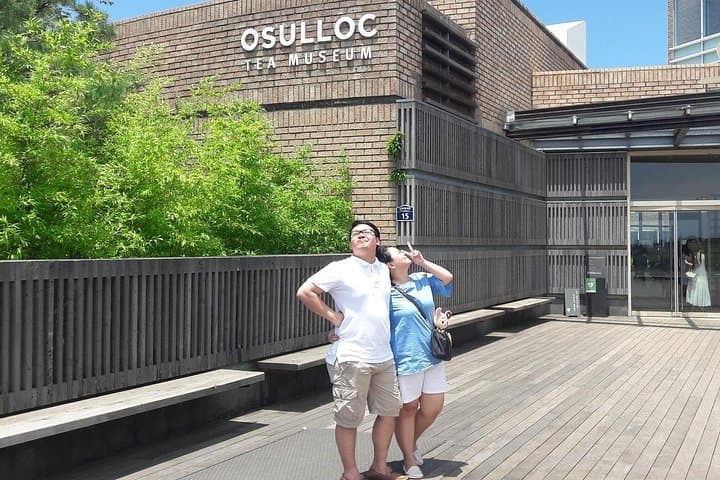 Jeju Private Taxi Tour: Osulloc Tea Fields, Camellia Hill & Iho Beach photo 1