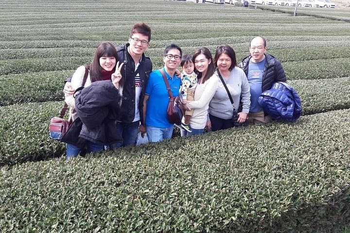 Jeju Private Taxi Tour: Osulloc Tea Fields, Camellia Hill & Iho Beach photo 3