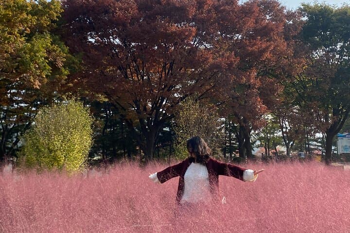 Private Seoul Tour with Local Influencer — Customized City Walks & Hidden Gems photo 5
