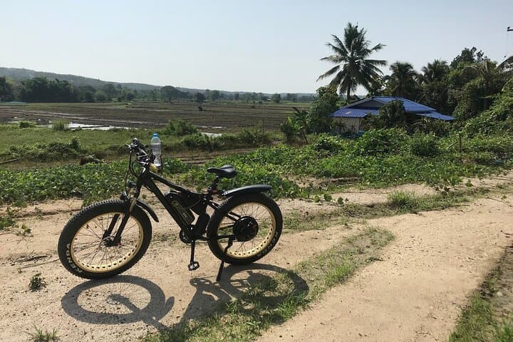 Half-Day E-Bike Mae Wang: Hilly Chiang Mai Ride to the Four Buddhas photo 3