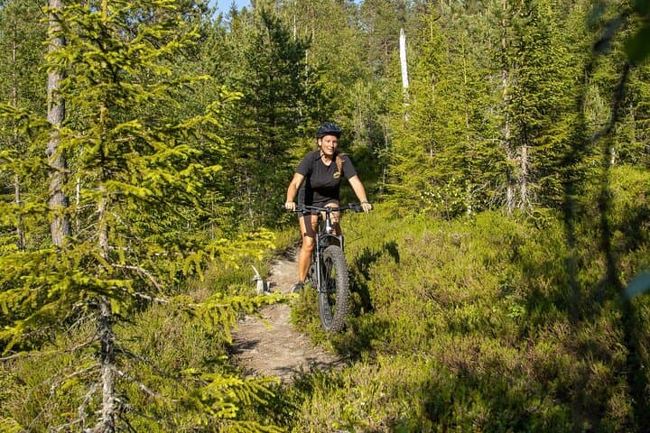 Voss Storålsen Mountain Bike Tour: Enduro Singletrack in Norway's Alpine Forests photo 2