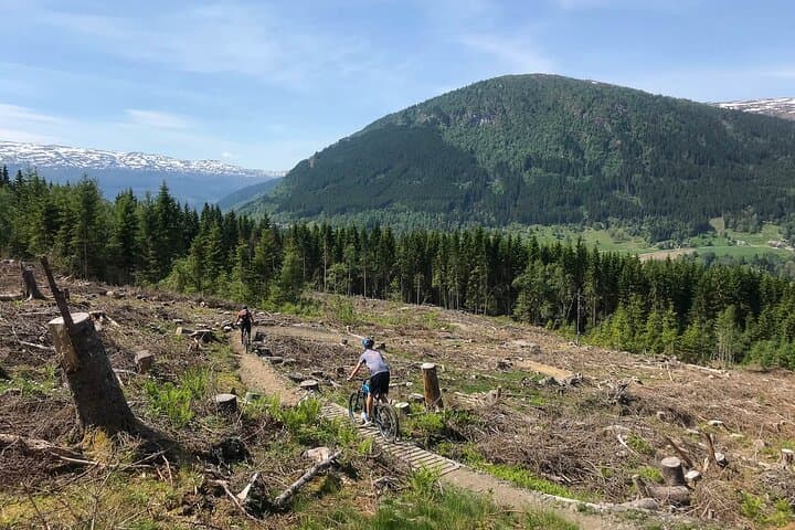 Voss Storålsen Mountain Bike Tour: Enduro Singletrack in Norway's Alpine Forests photo 3