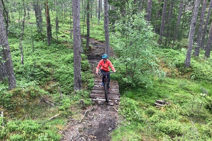 Voss Storålsen Mountain Bike Tour: Enduro Singletrack in Norway's Alpine Forests photo 4
