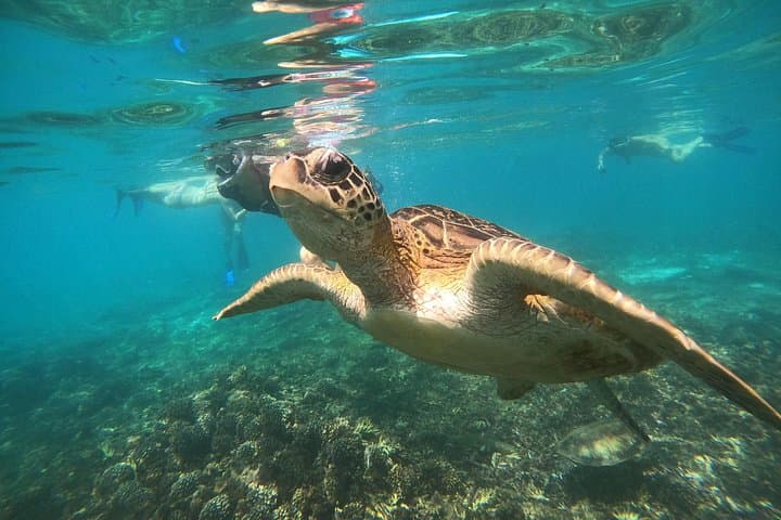 Daymaniyat Islands Snorkel Day Trip from Muscat — Wildlife & White Sand Beaches photo 1