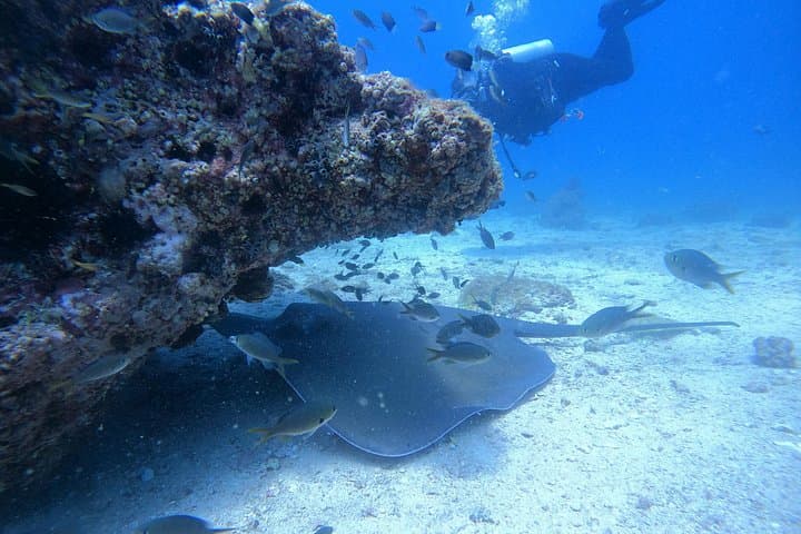 Daymaniyat Islands Snorkel Day Trip from Muscat — Wildlife & White Sand Beaches photo 3