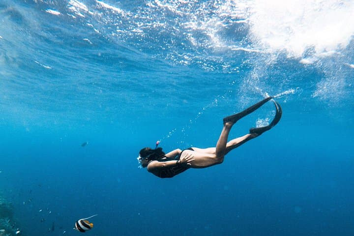 Daymaniyat Islands Snorkel Day Trip from Muscat — Wildlife & White Sand Beaches photo 4
