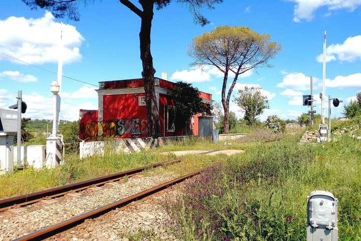 Ostuni Tuk Tuk Tour: Millenary Olive Groves & Olive Oil Tasting photo 4