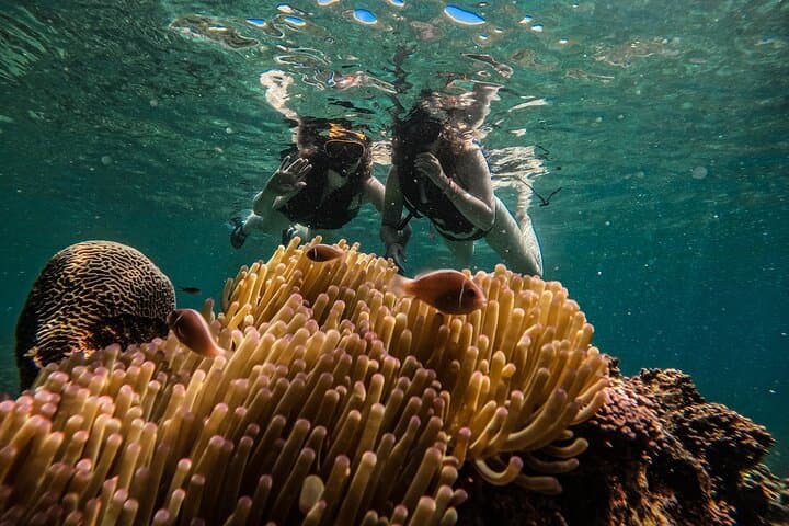 Discover Baa Atoll: 4 Nights in Dharavandhoo with Hanifaru Bay Manta & Whale Shark Snorkel photo 2