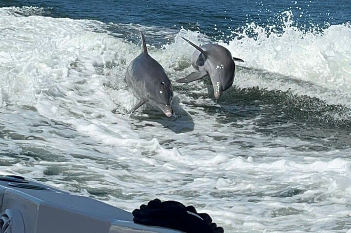 Gulfport Private Snorkel & Shelling Charter to Egmont and Passage Key