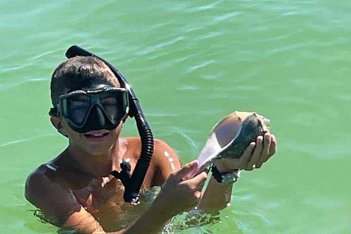 Egmont Key Snorkeling & Shelling: 2.5-Hour Private Tour from St. Petersburg photo 2