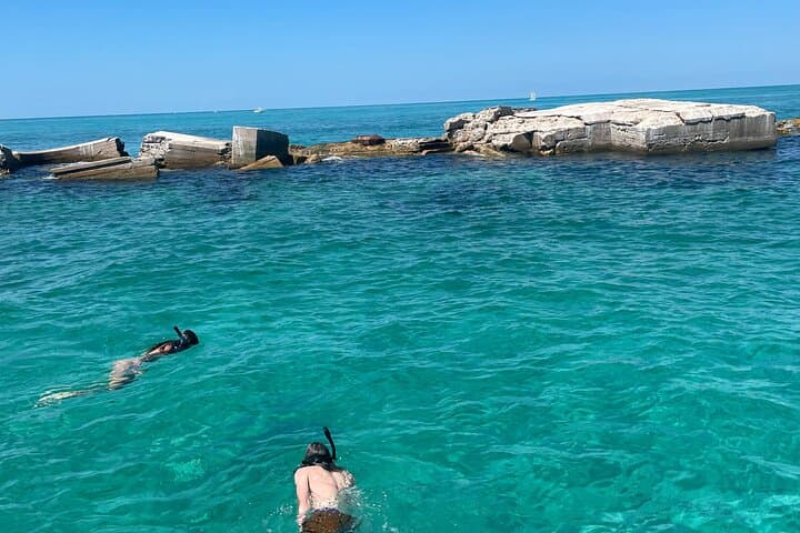 Egmont Key Snorkeling & Shelling: 2.5-Hour Private Tour from St. Petersburg photo 4