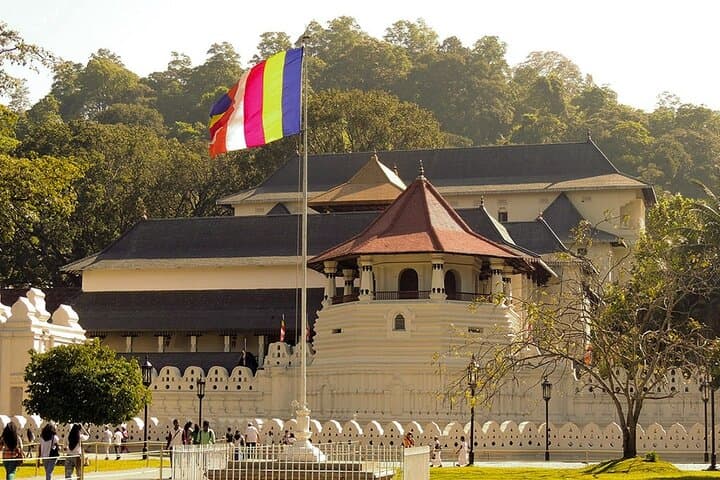 Kandy Day Tour: Two Temples, Kandy City and Peradeniya Botanical Garden photo 2