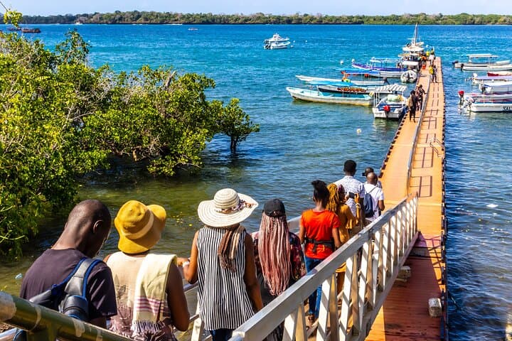 Kisite Marine Park Dolphin Watch & Snorkeling at Wasini Island photo 5