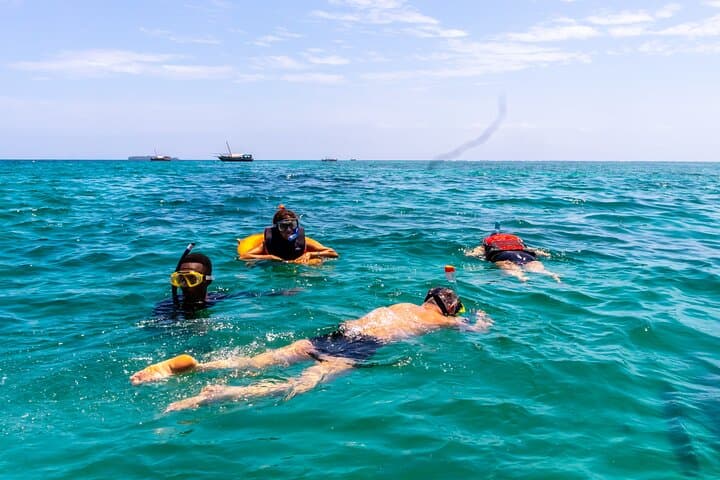 Kisite Marine Park Dolphin Watch & Snorkeling at Wasini Island photo 2