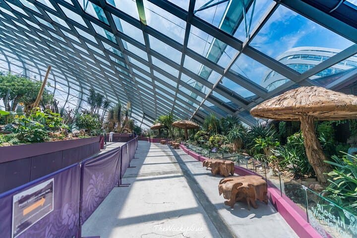 Gardens by the Bay Triple Combo: Cloud Forest, Flower Dome & Supertree Light Show photo 4