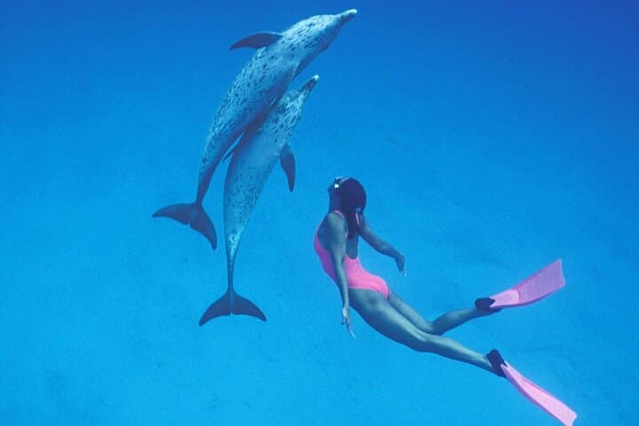 Dharavandhoo Dolphin Cruise — Swim with Spinner Dolphins in Baa Atoll