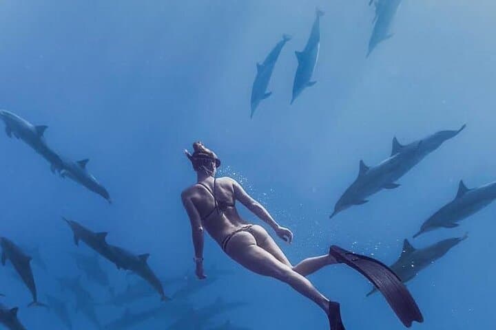 Dharavandhoo Dolphin Cruise — Swim with Spinner Dolphins in Baa Atoll photo 2