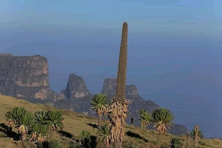 3-Day Simien Mountains Trek: Sankaber to Imet Gogo & Jinbar Falls photo 4