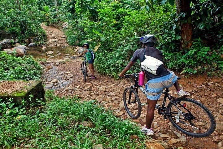 White Water Rafting on the Kelani River: Kitulgala Day Trip from Kandy photo 4