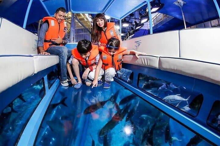 Dubai Mall Aquarium & Underwater Zoo: Tickets with Transfers — Plan Your Visit photo 3