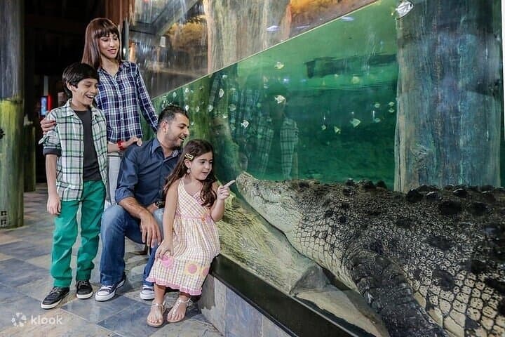 Dubai Mall Aquarium & Underwater Zoo: Tickets with Transfers — Plan Your Visit photo 2