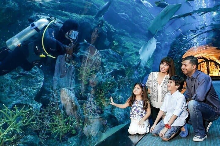 Dubai Mall Aquarium & Underwater Zoo: Tickets with Transfers — Plan Your Visit photo 4