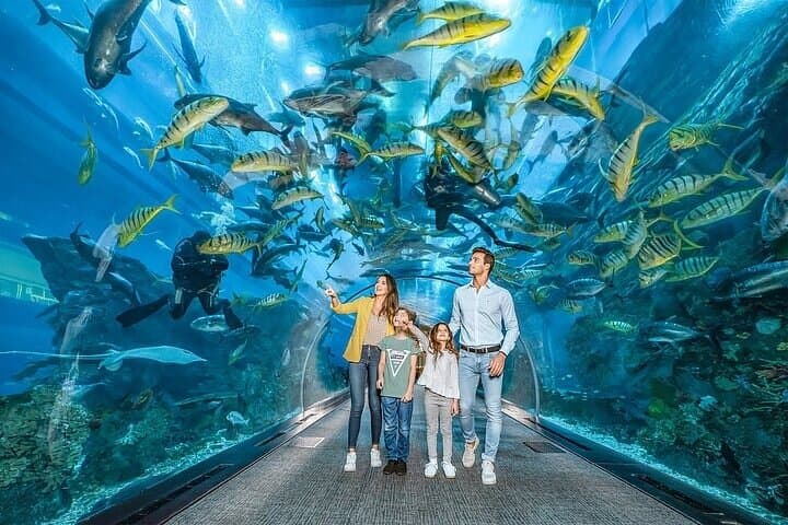 Dubai Mall Aquarium & Underwater Zoo: Tickets with Transfers — Plan Your Visit