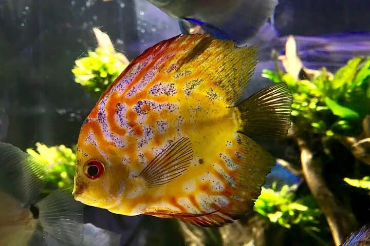 Dubai Mall Aquarium & Underwater Zoo: Tickets with Transfers — Plan Your Visit photo 6