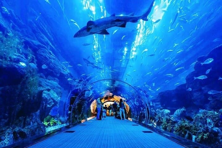 Dubai Mall Aquarium & Underwater Zoo: Tickets with Transfers — Plan Your Visit photo 5
