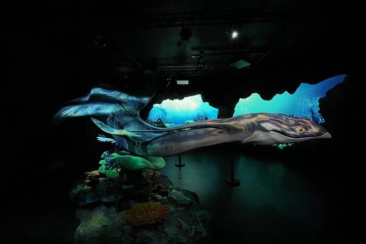 Gardens by the Bay Triple Combo: Cloud Forest, Flower Dome & Supertree Light Show photo 3