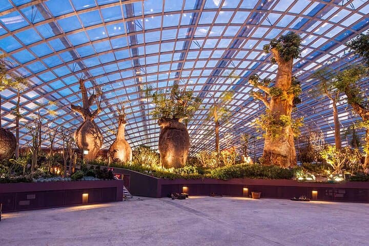 Gardens by the Bay Triple Combo: Cloud Forest, Flower Dome & Supertree Light Show photo 5