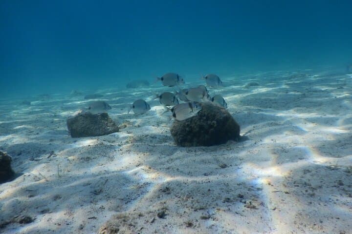 Discover Scuba in the Athenian Sea: 3-Hour Private Intro Dive photo 2