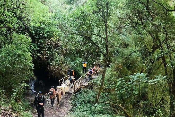 Langtang Valley Trek: 11-Day Shared Trek from Kathmandu to Kyangjin Gompa photo 4