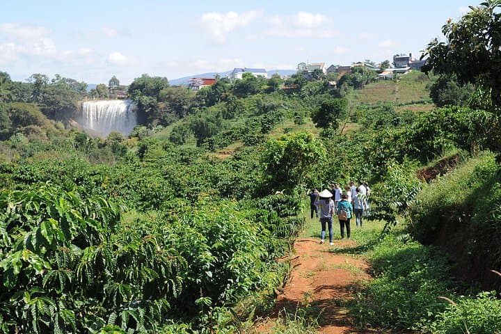 Dalat Coffee Plantation Tour from Elephant Falls — Tám Trình Coffee Experience photo 4
