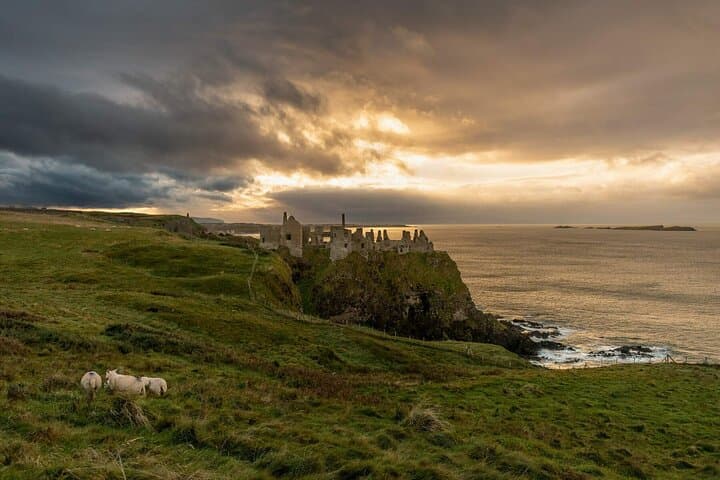 Private Luxury Causeway Coast Tour — Giants Causeway, Carrick-a-Rede & Dark Hedges photo 4