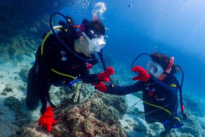 2-Day Private PADI Open Water Certification in Motobu, Okinawa photo 5