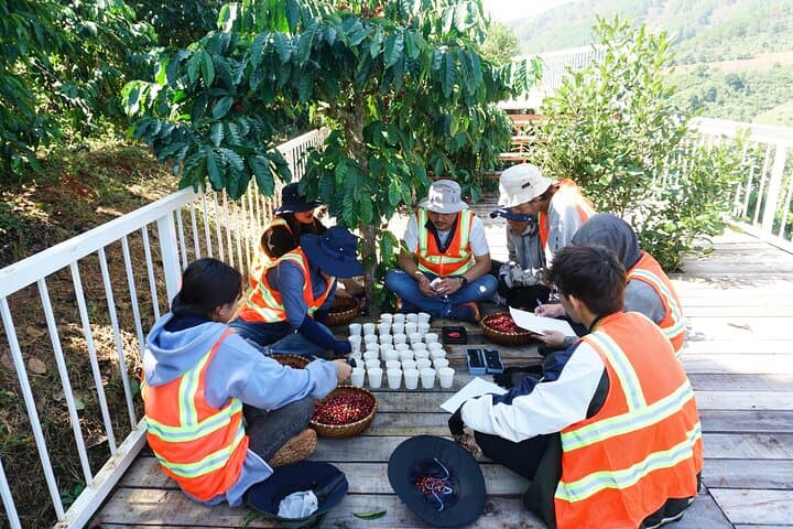 Dalat Coffee Plantation Tour from Elephant Falls — Tám Trình Coffee Experience photo 6