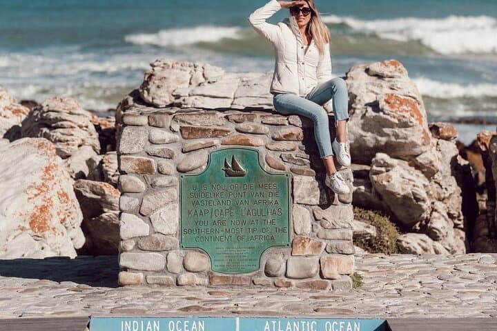 Private Cape Agulhas Day Tour from Cape Town — Penguins, Wine & Whales