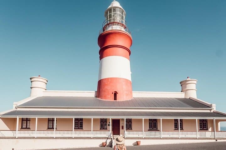 Private Cape Agulhas Day Tour from Cape Town — Penguins, Wine & Whales photo 3