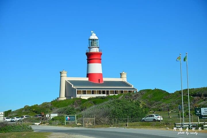 Private Cape Agulhas Day Tour from Cape Town — Penguins, Wine & Whales photo 4