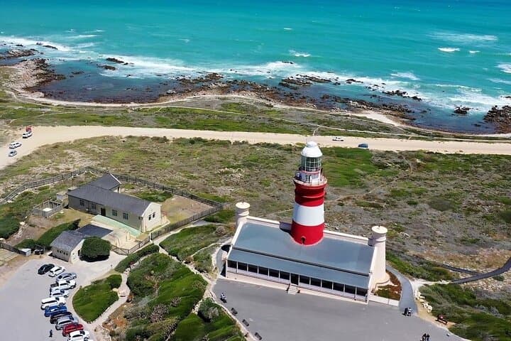 Private Cape Agulhas Day Tour from Cape Town — Penguins, Wine & Whales photo 6