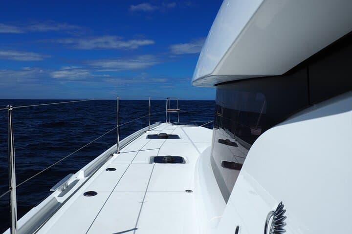VIP Catamaran Private Cruise in Lisbon: 2-Hour Luxury Harbor Tour photo 3