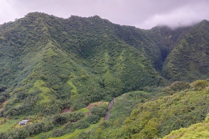 Hike Fautaua Valley to Tahiti’s Big Waterfall — Private Guided Adventure photo 2