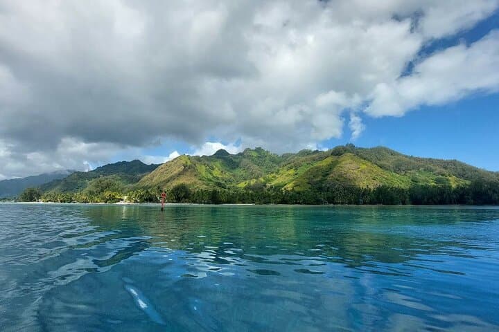 Circle Moorea: Private Full-Day Island Tour With Lookouts, Bays, and Local Flavors photo 5