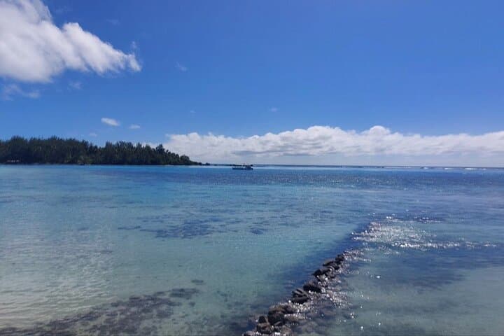 Circle Moorea: Private Full-Day Island Tour With Lookouts, Bays, and Local Flavors photo 6