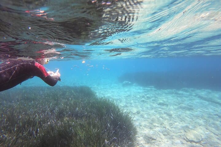 Beginner Snorkel in Mirabello Bay with the Blue Dolphin Team