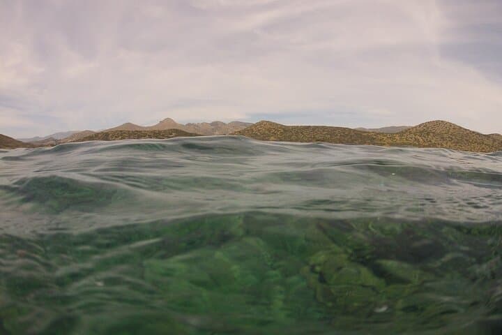 Beginner Snorkel in Mirabello Bay with the Blue Dolphin Team photo 3