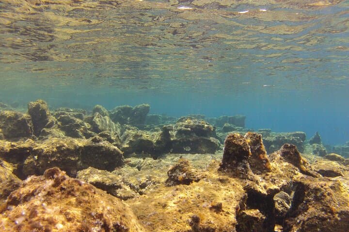 Beginner Snorkel in Mirabello Bay with the Blue Dolphin Team photo 6